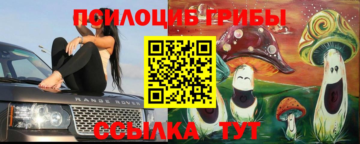 Псилоцибиновые грибы Psilocybine cubensis Фрязино